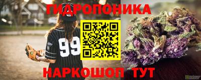 спайс Моздок