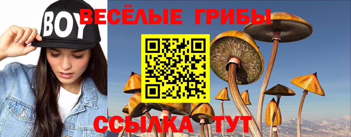 наркотики  Вход с VPN  Псилоцибиновые грибы Magic Shrooms  Сухой Лог  Псилоцибиновые грибы MAGIC MUSHROOMS 