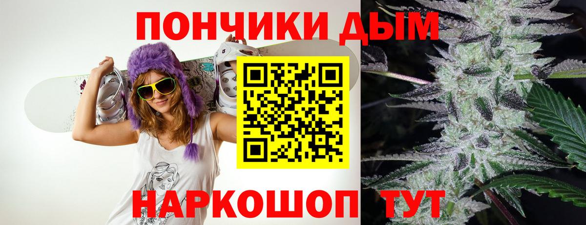Шишки марихуана марихуана Сухой Лог